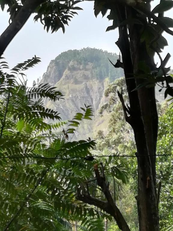 Gleam Nest Hotel Ella Bagian luar foto