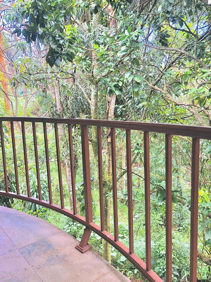 Gleam Nest Hotel Ella Bagian luar foto